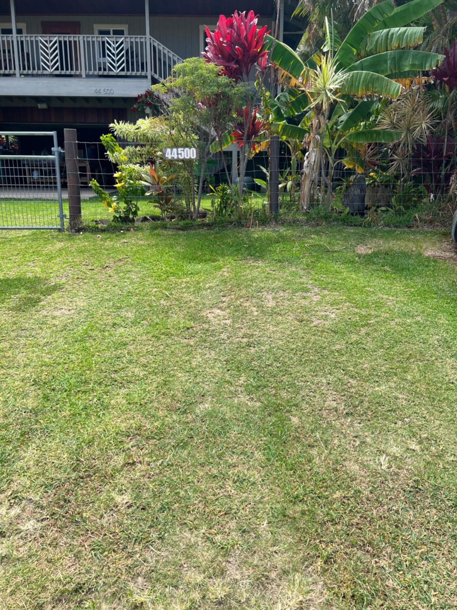 Honokaa Private Ohana On The Lush Hamakua Coast With Ac מראה חיצוני תמונה