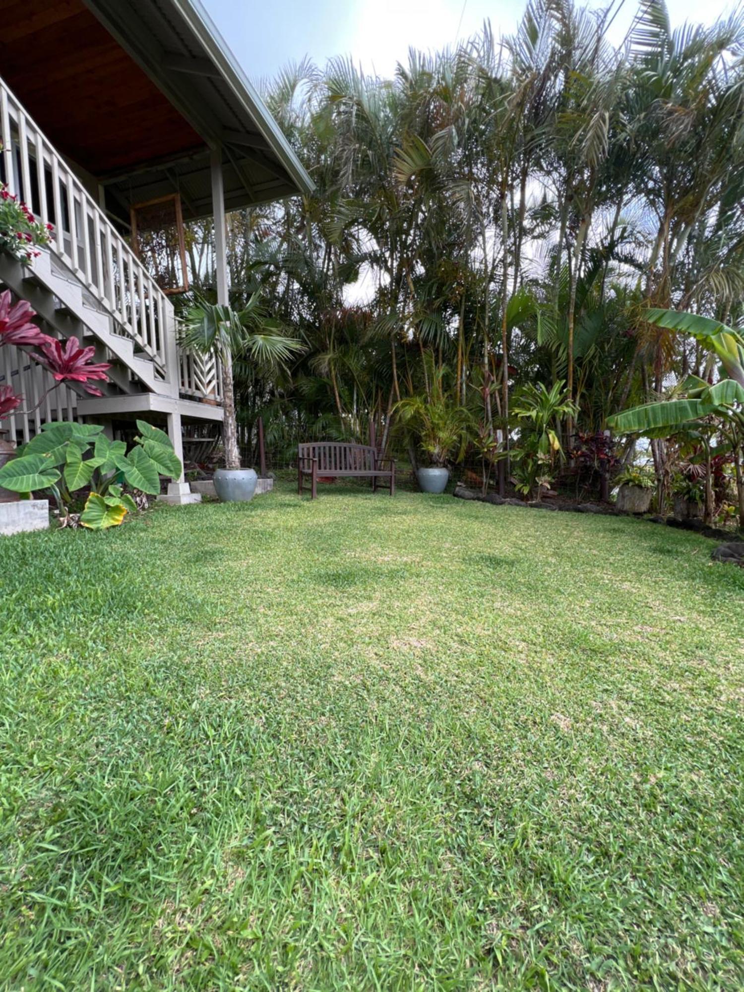 Honokaa Private Ohana On The Lush Hamakua Coast With Ac מראה חיצוני תמונה